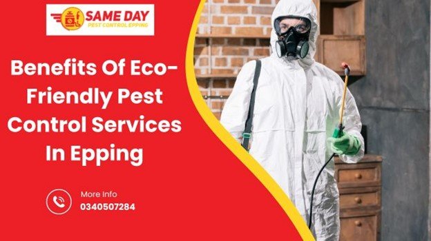 Eco-Friendly Pest Control In Epping