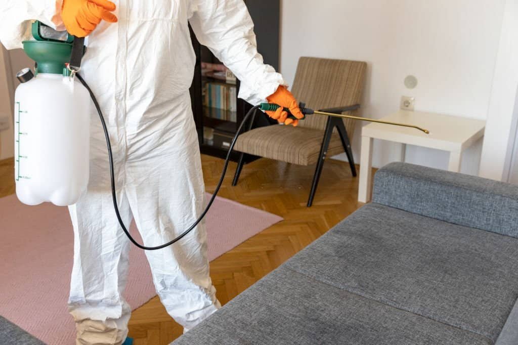 # 1 Trused Local Pest Control  In Epping