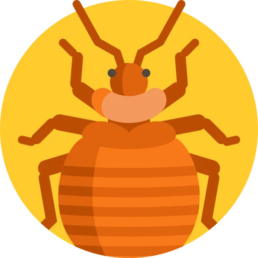 Bedbugs Control Epping