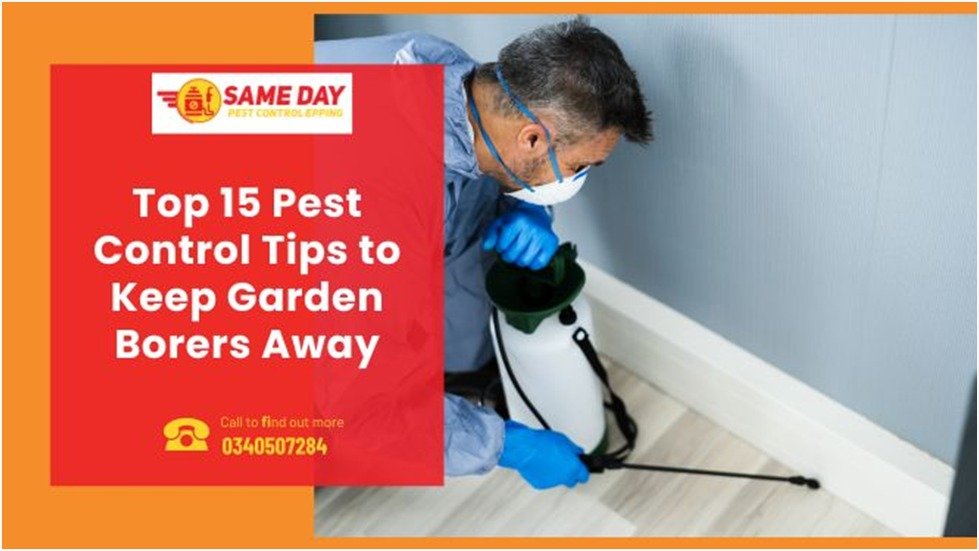Pest Control Tips to Keep Garden Borers Away
