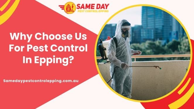 Pest Control in Epping