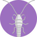 Silverfish Control Epping